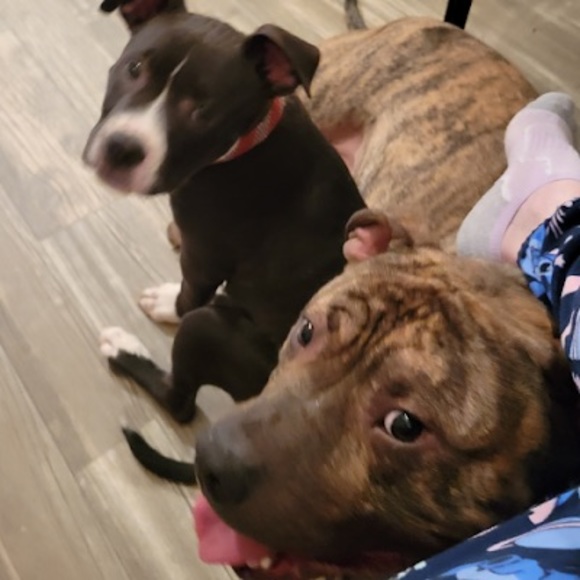 Meet your Posher, Lorie - Picture 1 of 1